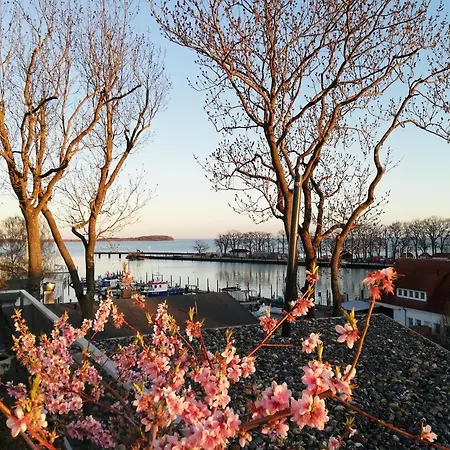 Boddenblick-vilm * بوتبوس